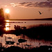 Tina Lake Photo 14