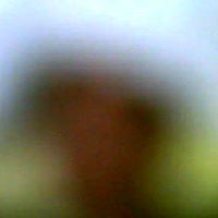 James Creasy Photo 18