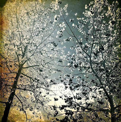 Ann Bradford Photo 35