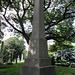 William Signer Photo 6
