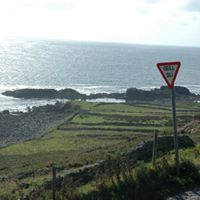 Seamus Costello Photo 11
