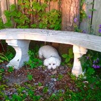 June Potts Photo 7