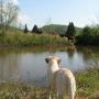 Tracy Whitmer Photo 7