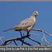 Lisa Polk Photo 17