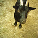 Kelley Lang Photo 10
