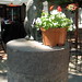 Betsy Richardson Photo 35