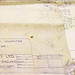 Donald Willis Photo 24