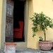 Andrea Minder Photo 14