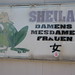 Sheila Spring Photo 10