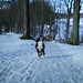 Reginald Tyler Photo 20