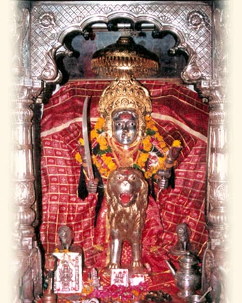 Rajesh Parekh Photo 24