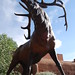 Ken Rowe Photo 13