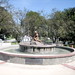 Dane Andersen Photo 12