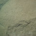 Steven Ripple Photo 16