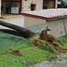 Evelyn Garrison Photo 17