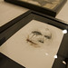 Charlie Aaron Photo 11