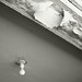 Lynn Lane Photo 43