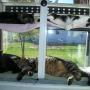 Richard Smoot Photo 20