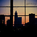 Dawn Cox Photo 23