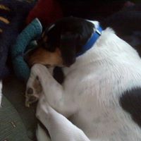 Becky Wagoner Photo 8