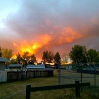 Lori Connors Photo 22