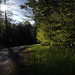 David Windham Photo 24