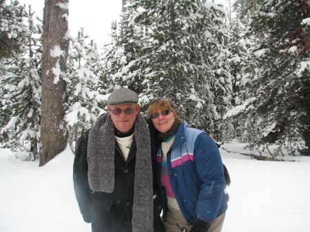 Sue Weber Photo 1