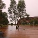 Alice Flood Photo 4