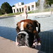 Mandy Case Photo 22