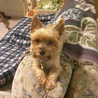Debra Sampson Photo 5