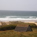 Sandy Crowe Photo 35