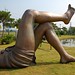 David Hom Photo 23