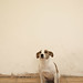 Tess Stephenson Photo 8