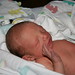 Joshua Baron Photo 12