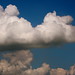Richard Bach Photo 43