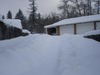 Carol Beatty Photo 28