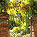 Patricia Hoyt Photo 23