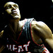 James Haslem Photo 16