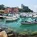 Mary Genovese Photo 22