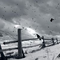 Jason Falconer Photo 9