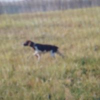 Kent Morris Photo 10