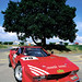 Michael Soper Photo 17