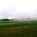 Daniel Rieger Photo 9