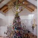 Shelley Hopkins Photo 30