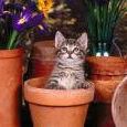Judy Maney Photo 6