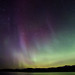 Aurora Cordova Photo 7