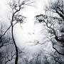 Abhishek Kashyap Photo 27