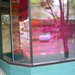 Janice Arnold Photo 16