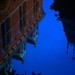 Anne Gough Photo 18