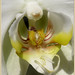 Angel Word Photo 7